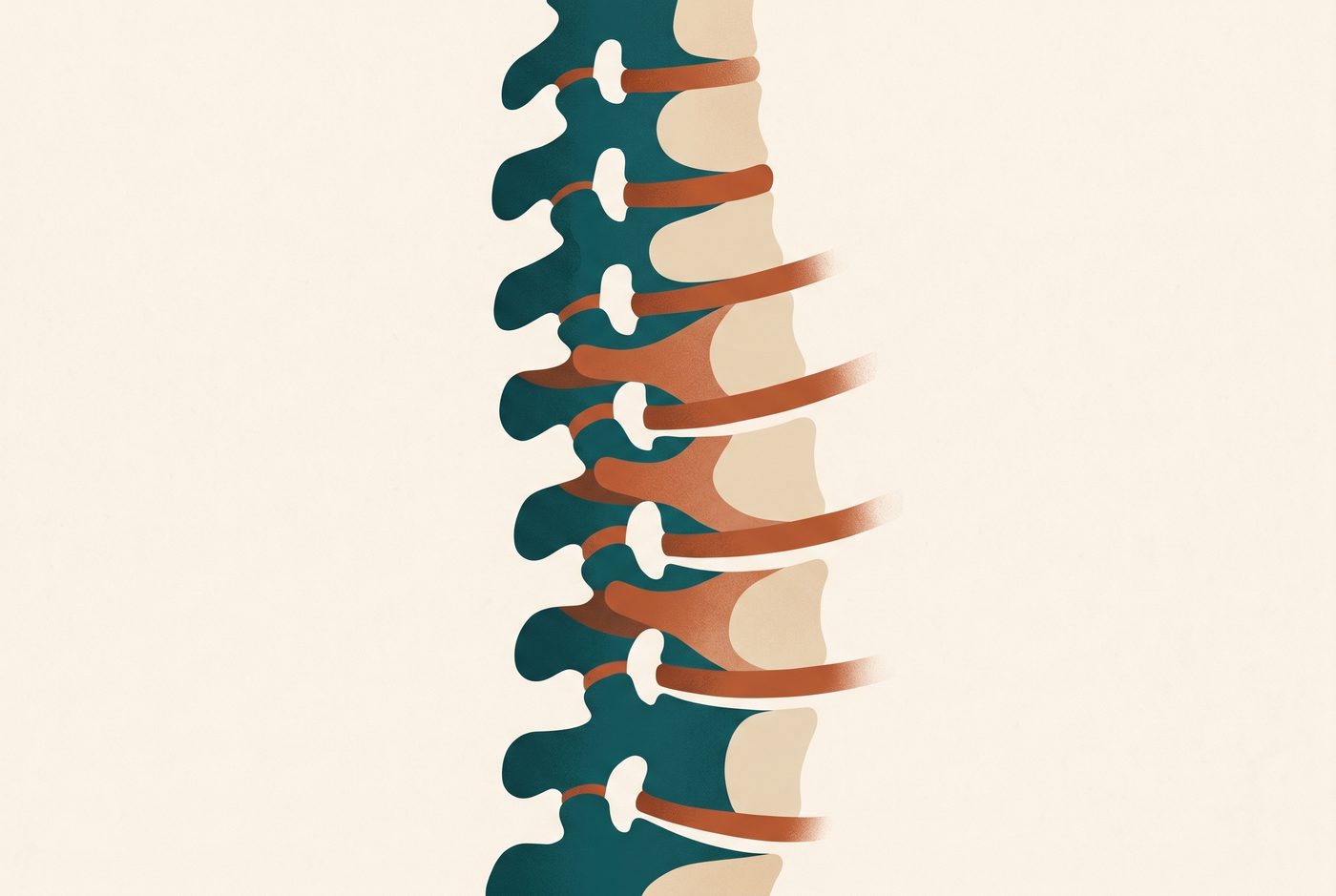 Abstract illustration of vertebrae gently lengthening apart to suggest spinal decompression and relief